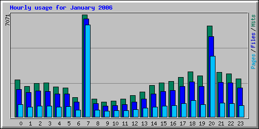 Hourly usage for January 2006
