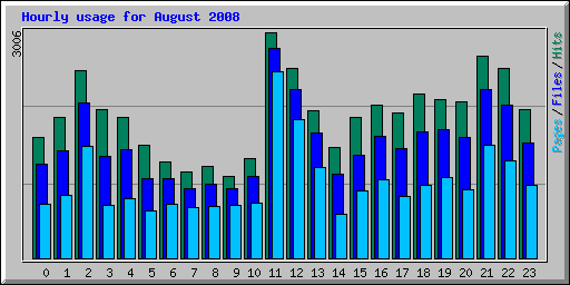 Hourly usage for August 2008
