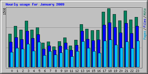 Hourly usage for January 2009
